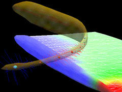 Phase and Amplitude Maps of the Electric Organ Discharge of the Weakly Electric Fish