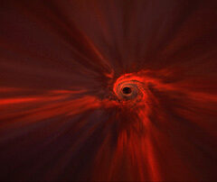 Synesthesia: Collaborative Biosignal Experience