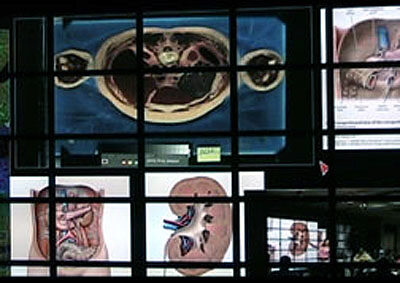 From pictures to pixels: interactive visualization explained