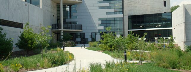 Vis for Deep Learning for Biology