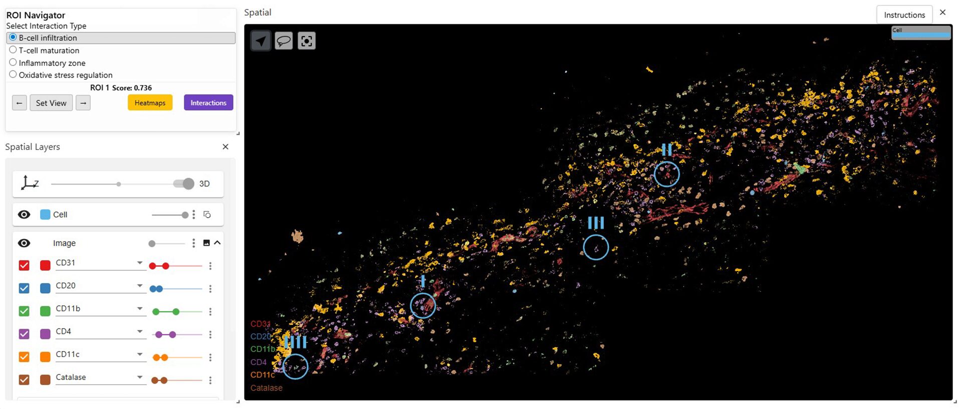 Attention-based ROI Discovery in 3D Tissue Images