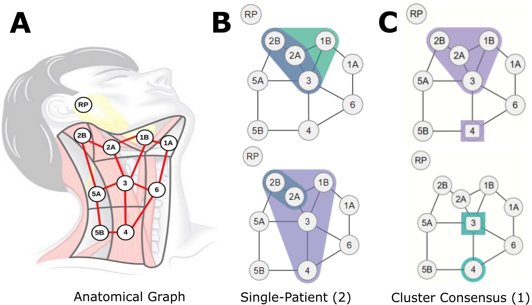 Explainable Spatial Clustering: Leveraging Spatial Data in Radiation Oncology