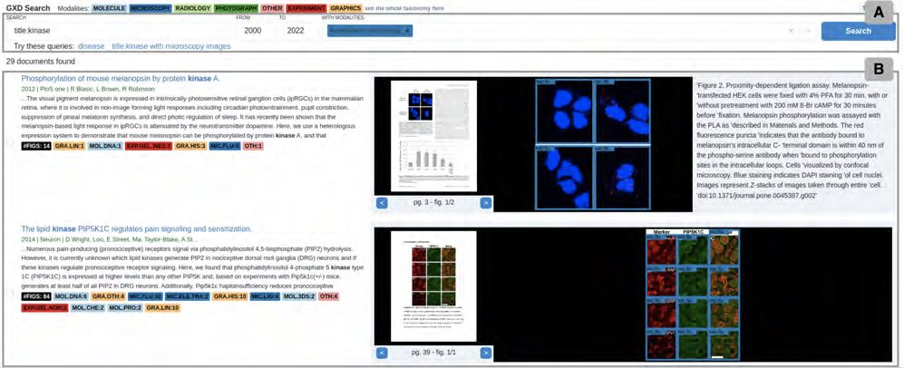 MouseScholar: Evaluating an Image+Text Search System for Biocuration
