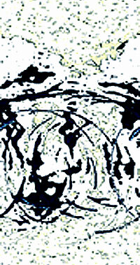 New MFA Student Presentations