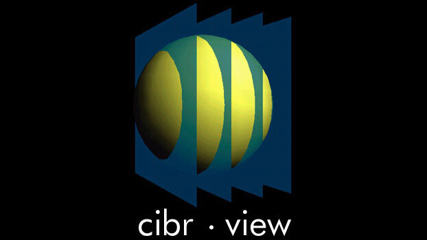 CIBRView: Collaborative Image Based Rendering