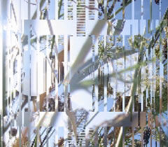 Tom Coffin Exhibits Field