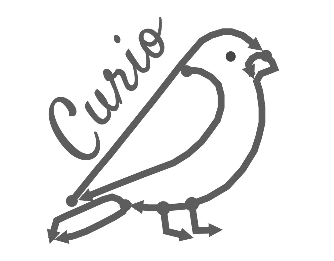 Curio Paper Accepted to IEEE VIS 2024