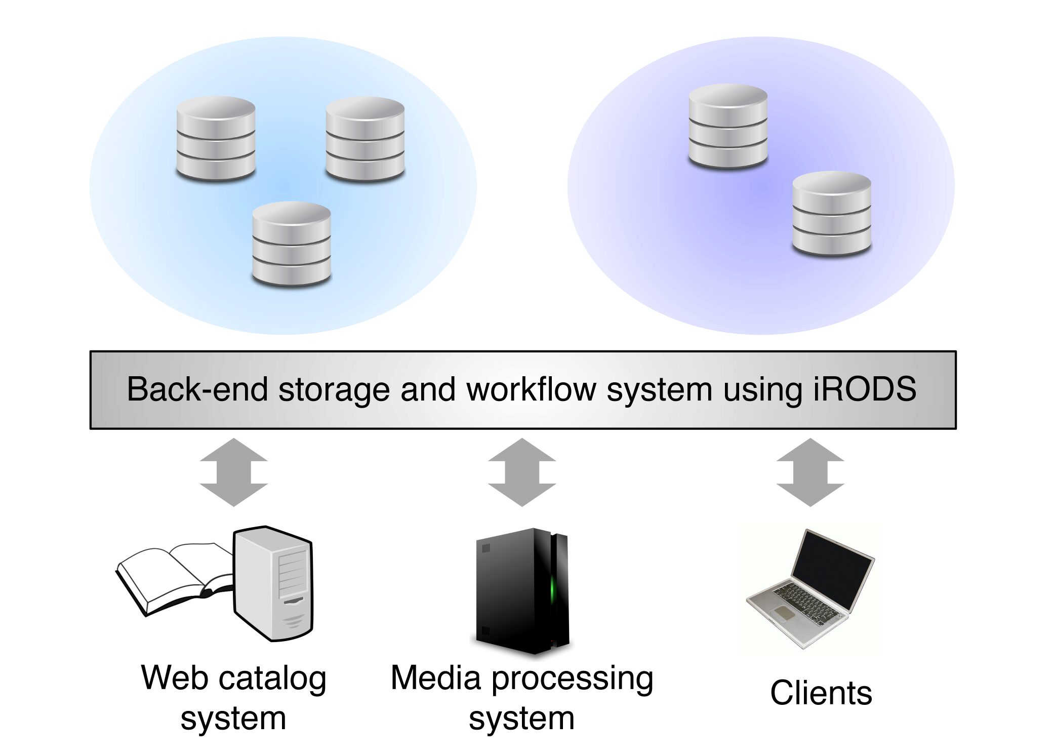 Global Media Curation Platform Using iRODS
