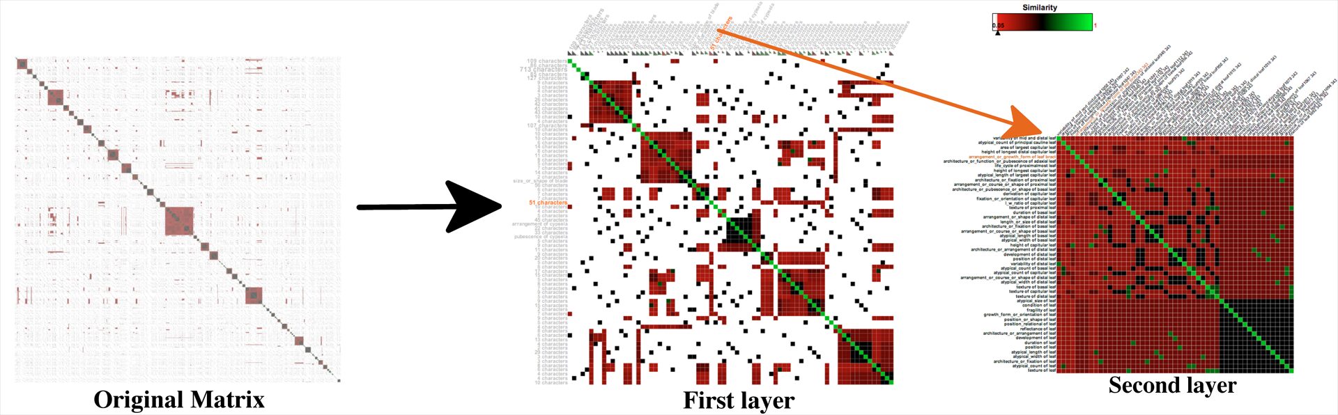 MultiLayerMatrix: Visualizing Large Taxonomic Datasets