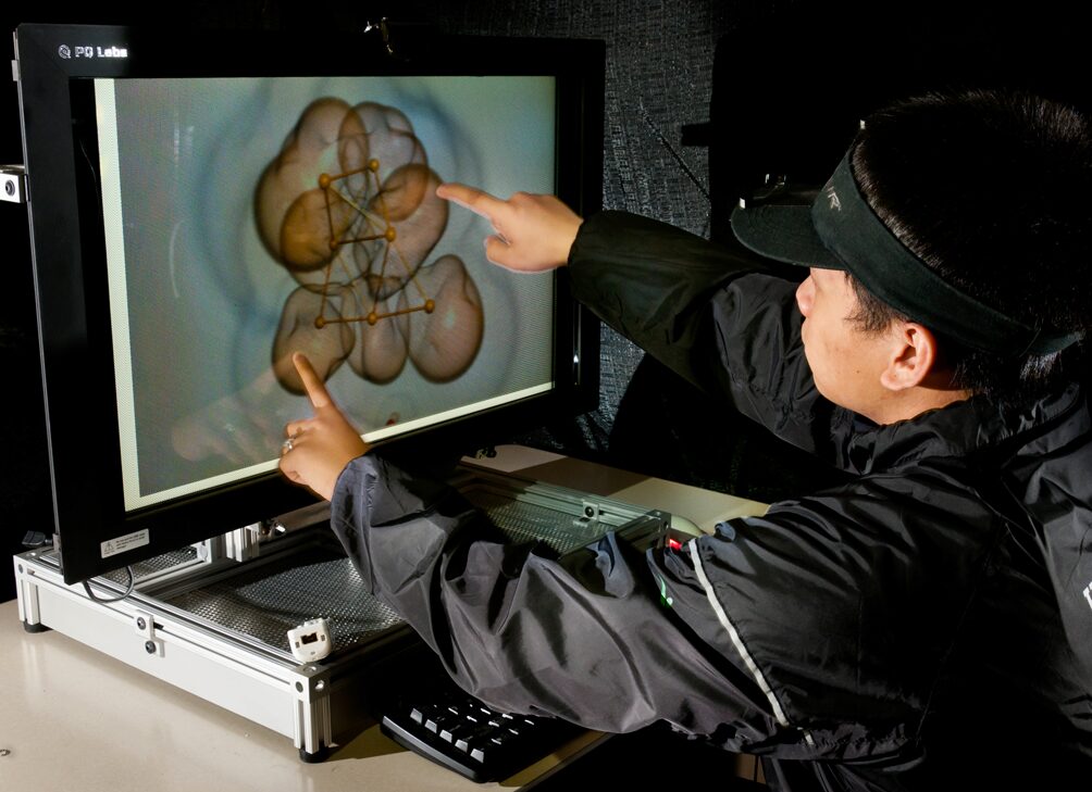 A Simultaneous 2D / 3D Autostereo Workstation (poster)