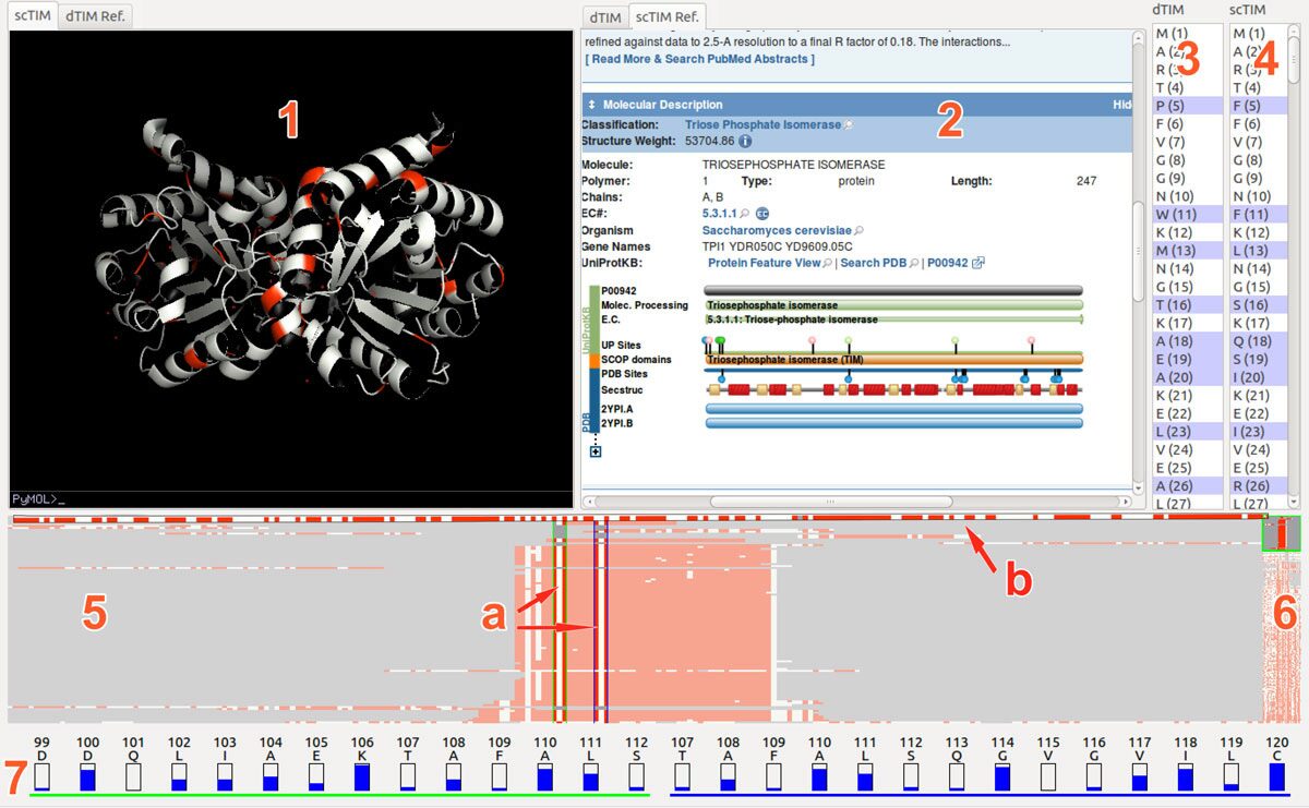 FixingTIM: Interactive Exploration of Sequence and Structural Data to Identify Functional Mutations in Protein Families