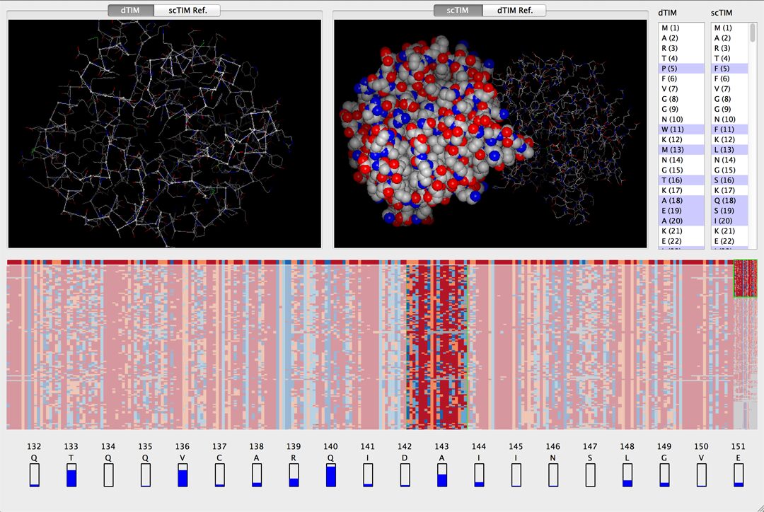 Fixing TIM: Identifying Functional Mutations in Protein Families through the Interactive Exploration of Sequence and Structural Data