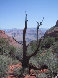 EVL Participates In 3rd Annual <em>GeoWall</em> Meeting