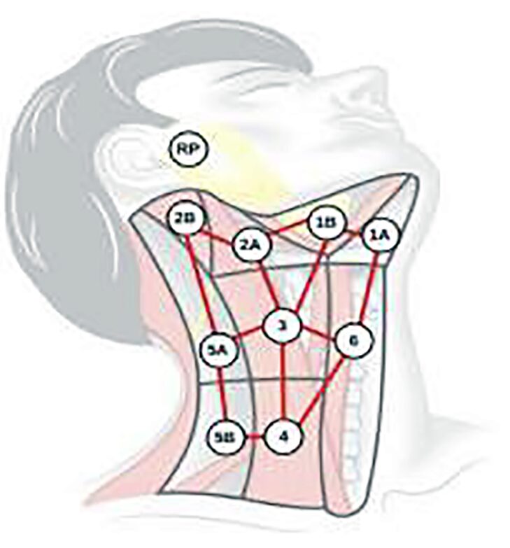 G. Elisabeta Marai Awarded NIH Diversity Supplement