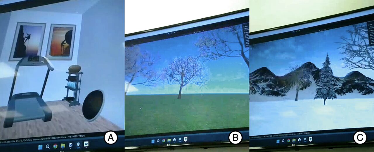 Enhancing Consumer Insights through VR Metaphor Elicitation