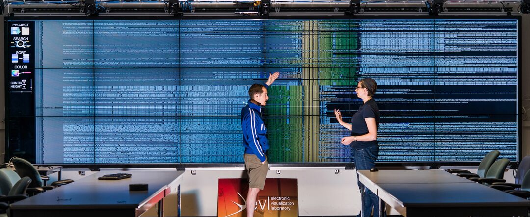 Bacterial Gene Neighborhood Investigation Environment: A Scalable Genome Visualization for Big Displays