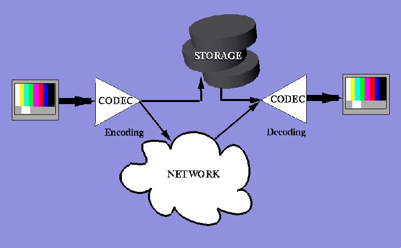 Computer Animation Using Digital Video