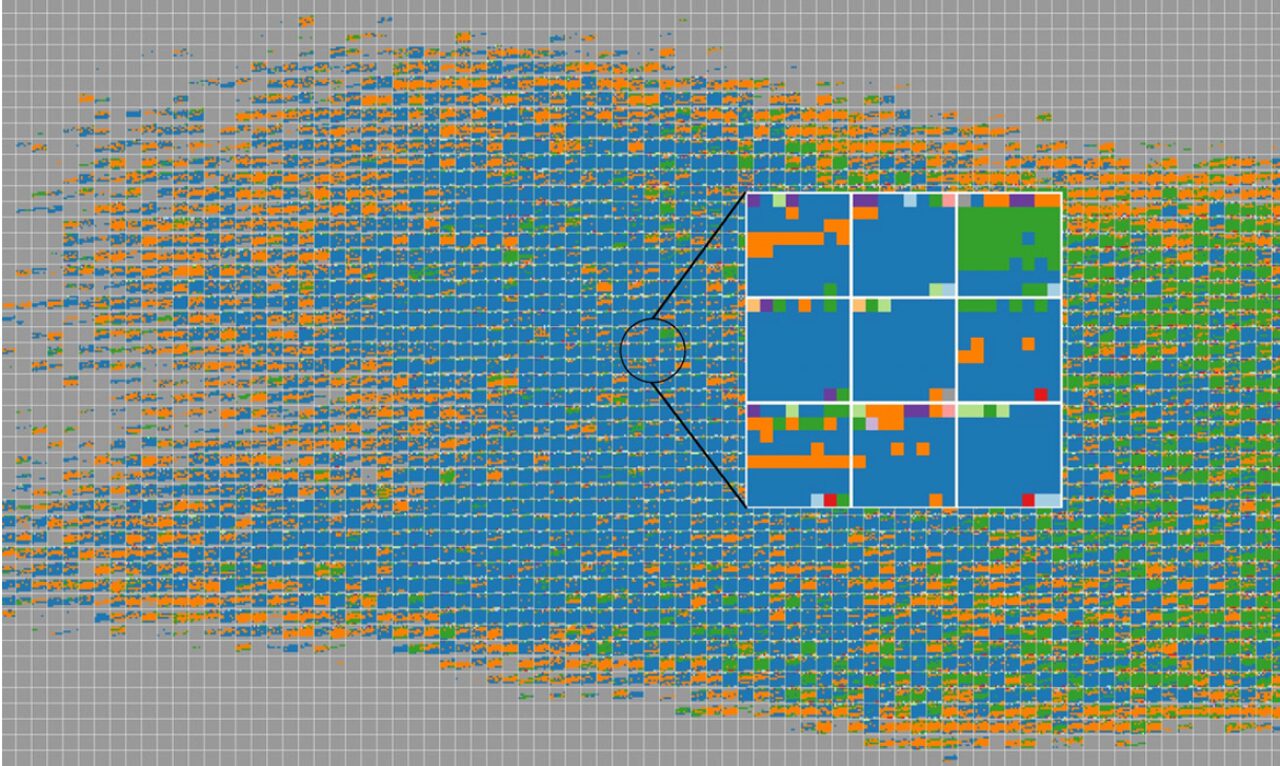 RemBrain: Exploring Dynamic Biospatial Networks with MosaicMatrices and Mirror Glyphs