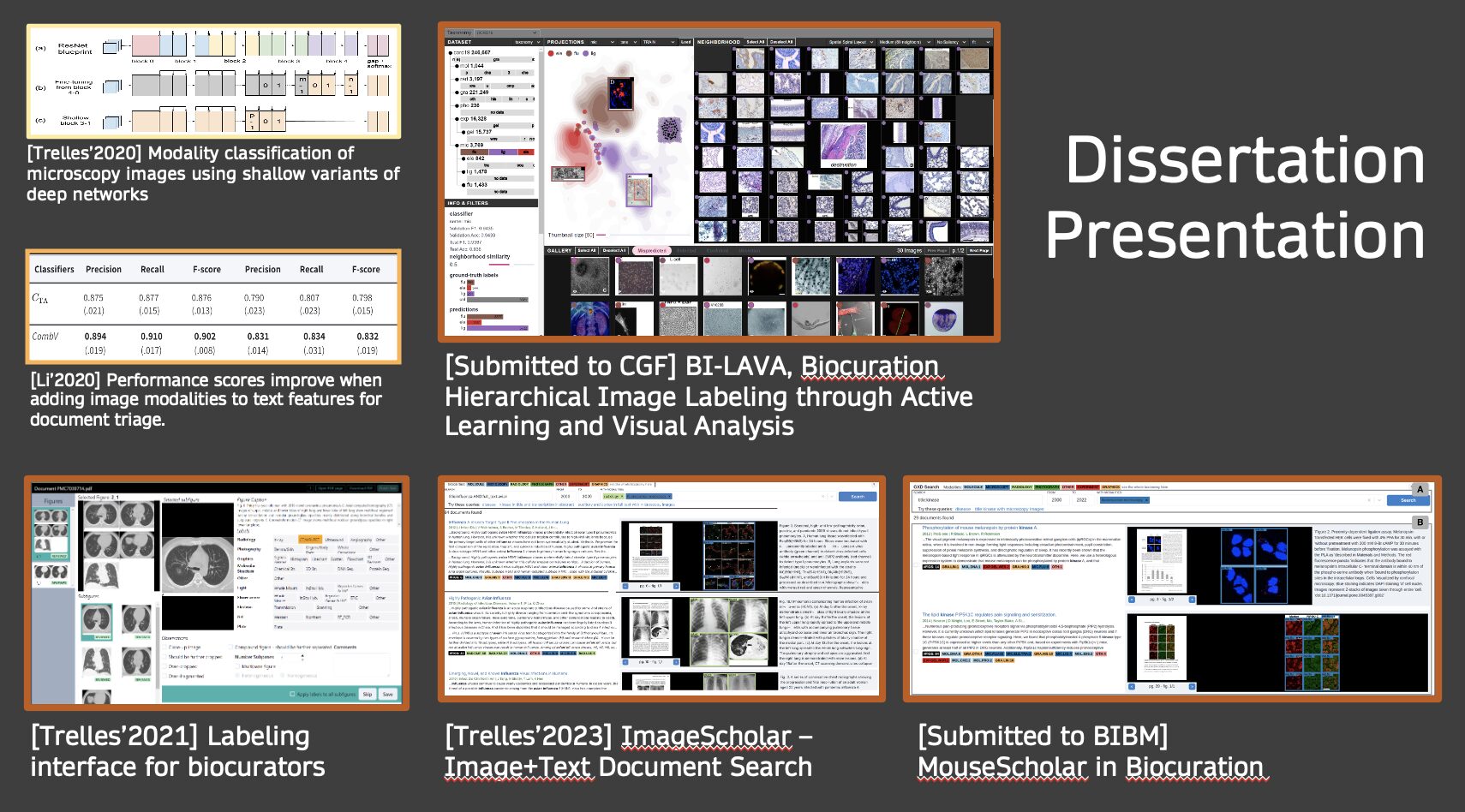 PhD Dissertation Announcement: Integrating Image Features to Support the Biocuration Workflow