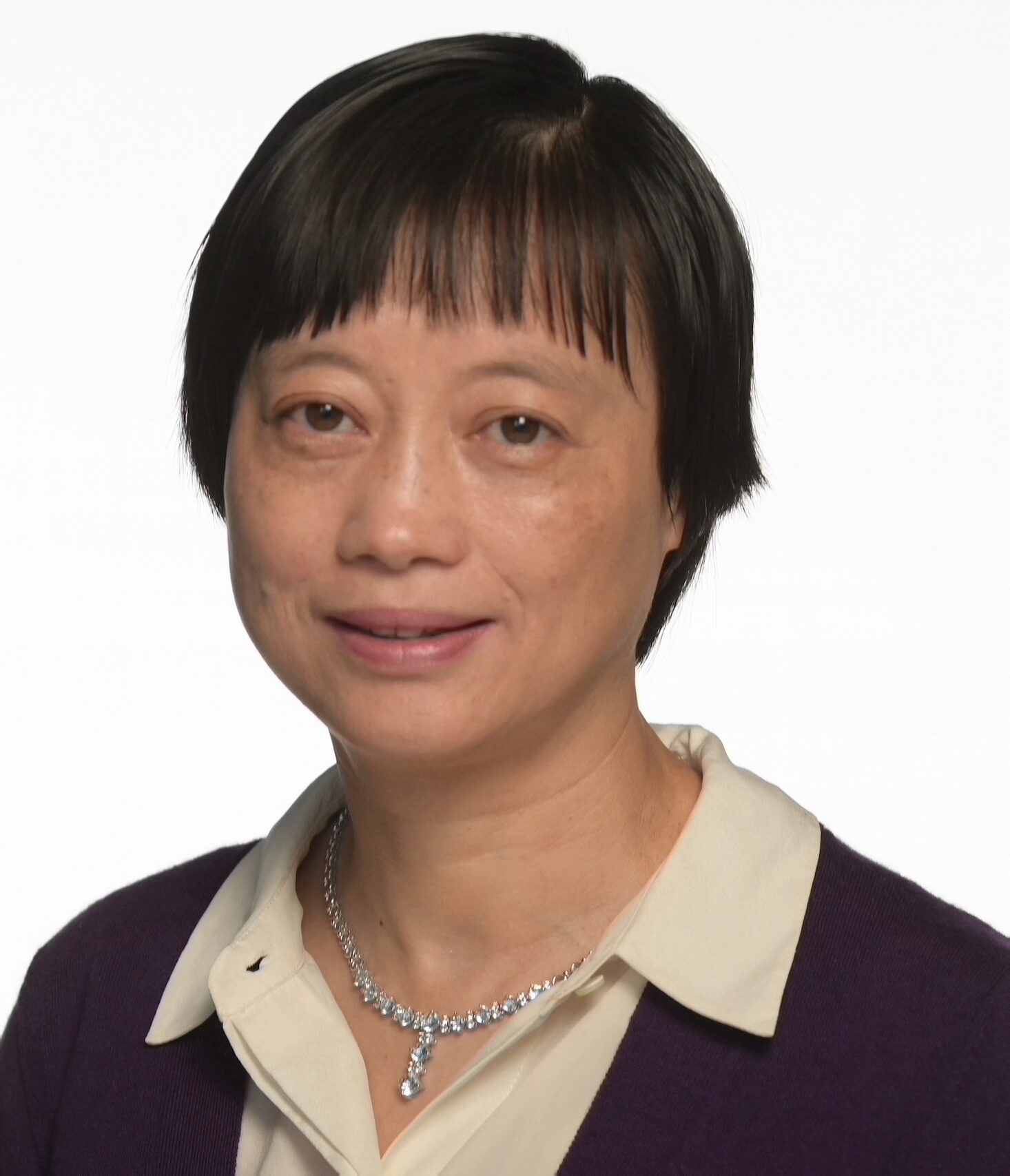 EVL Welcomes Professor Zhiling Lan to High Performance Computing Faculty Team