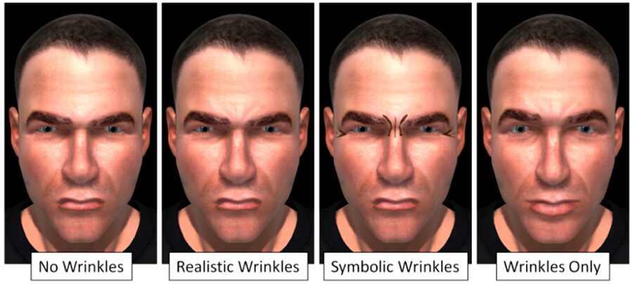 Supervised Hybrid Expression Control Framework for a Lifelike Affective Avatar