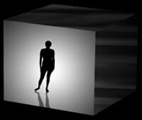 Loose Minds in a Box