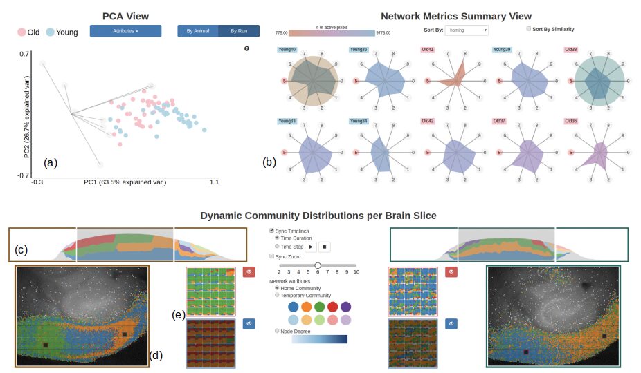 Visual Analysis Techniques for Dynamic Biological Networks