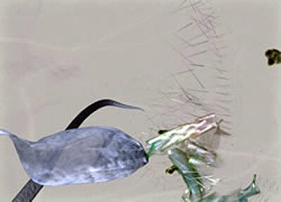 A Unique UIC Program Unites Art and Science