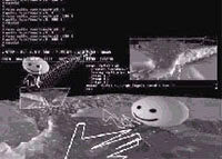 The Use of Collaborative Virtual Environments in the Mine Countermeasures Mission