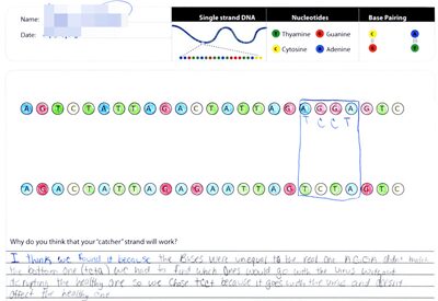 Response Characteristics of Middle School Learners’ Critiques of Nanoscale Phenomena Representations