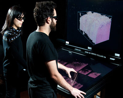 The OmegaDesk: Workspace of the future