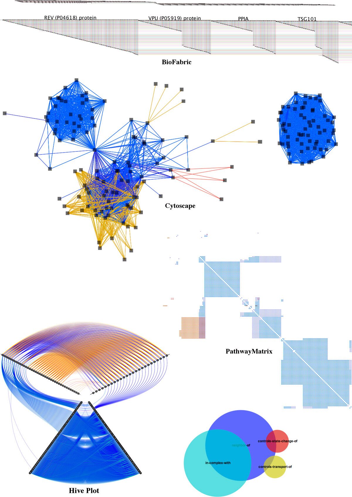 PathwayMatrix: Visualizing Binary Relationships between Proteins in Biological Pathways