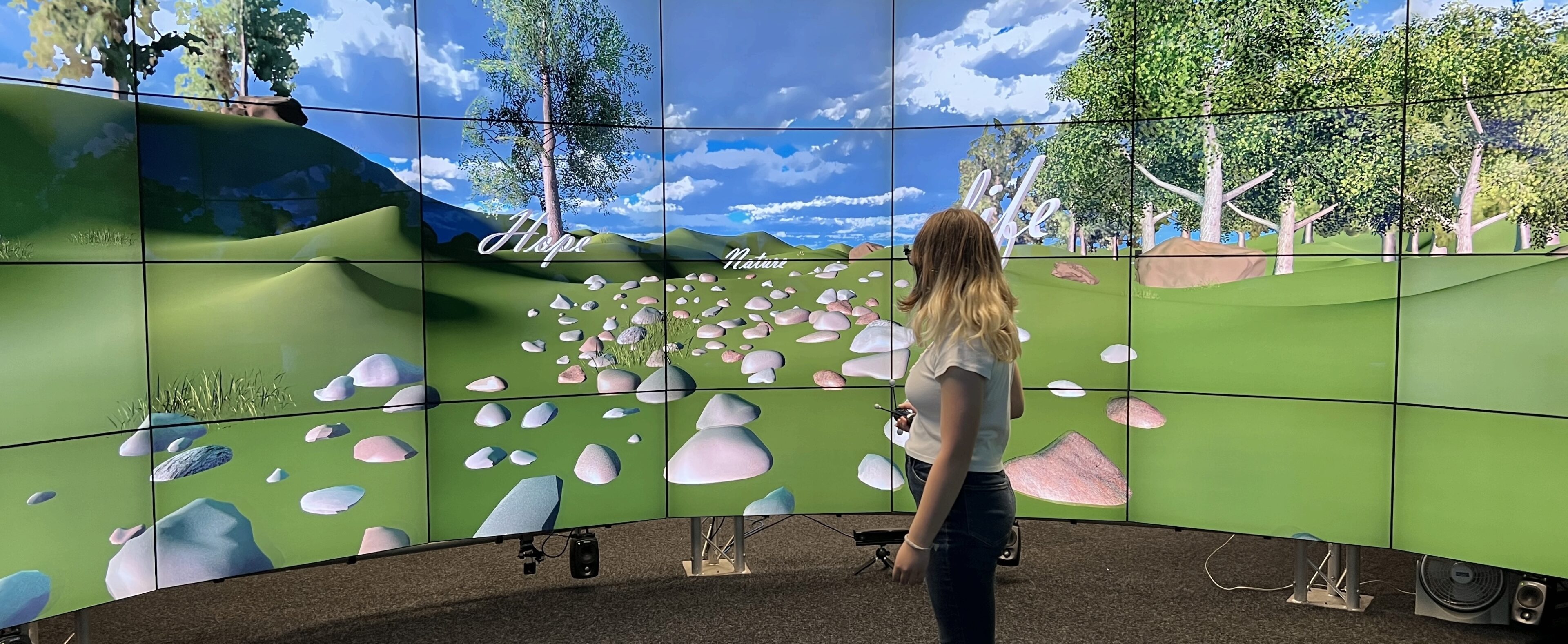 CAVE2 VR Exhibition: The Hidden Costs of Logistics and the Disappearing Wild