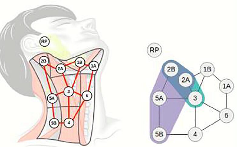 Longitudinal Spatial-Nonspatial Decision Support for Competing Outcomes in Head and Neck Cancer Therapy