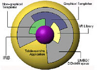A Review of Tele-Immersive Applications in the CAVE® Research Network
