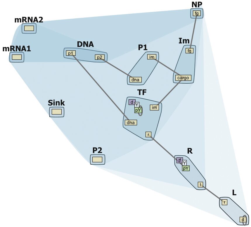 RuleBender: integrated modeling, simulation and visualization for rule-based intracellular biochemistry