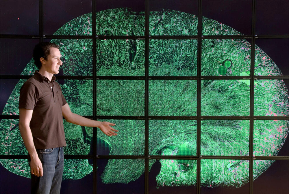 Nicholas Schwarz’s Thesis Defense