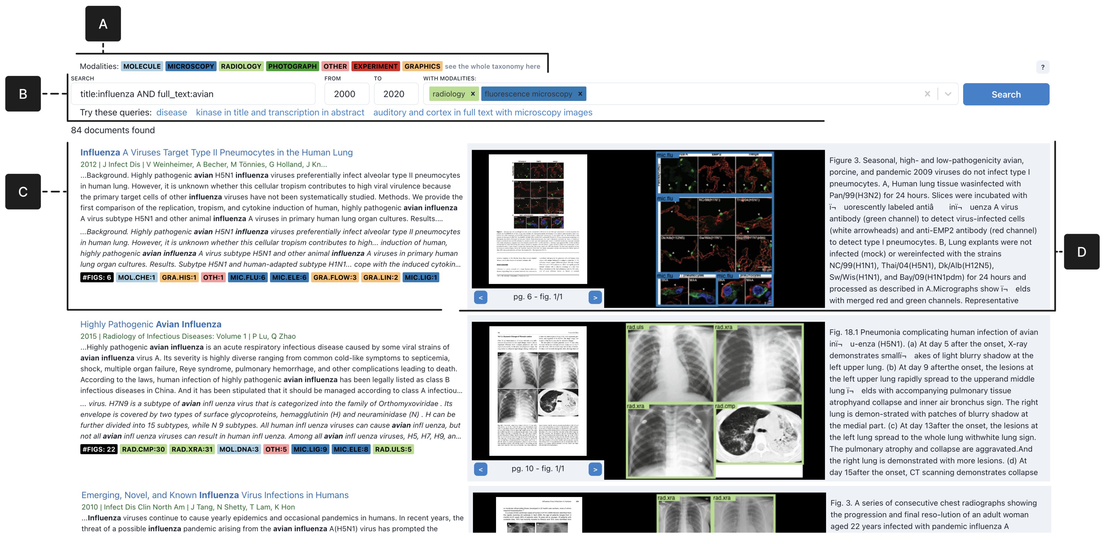 Enhancing biomedical search interfaces with images