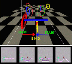 Preliminary STAR TAP℠ Tele-Immersion Experiments between Chicago and Singapore