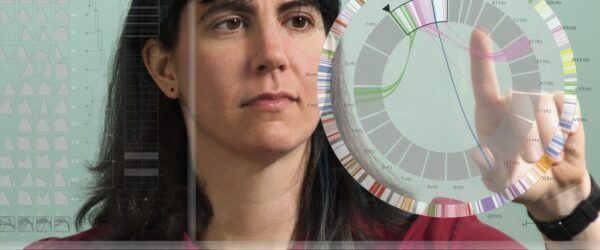 Visualization Analysis and Design, Dr. Tamara Munzner