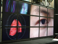 TeraVision: a Platform and Software Independent Solution for Real Time Display Distribution in Advanced Collaborative Environments