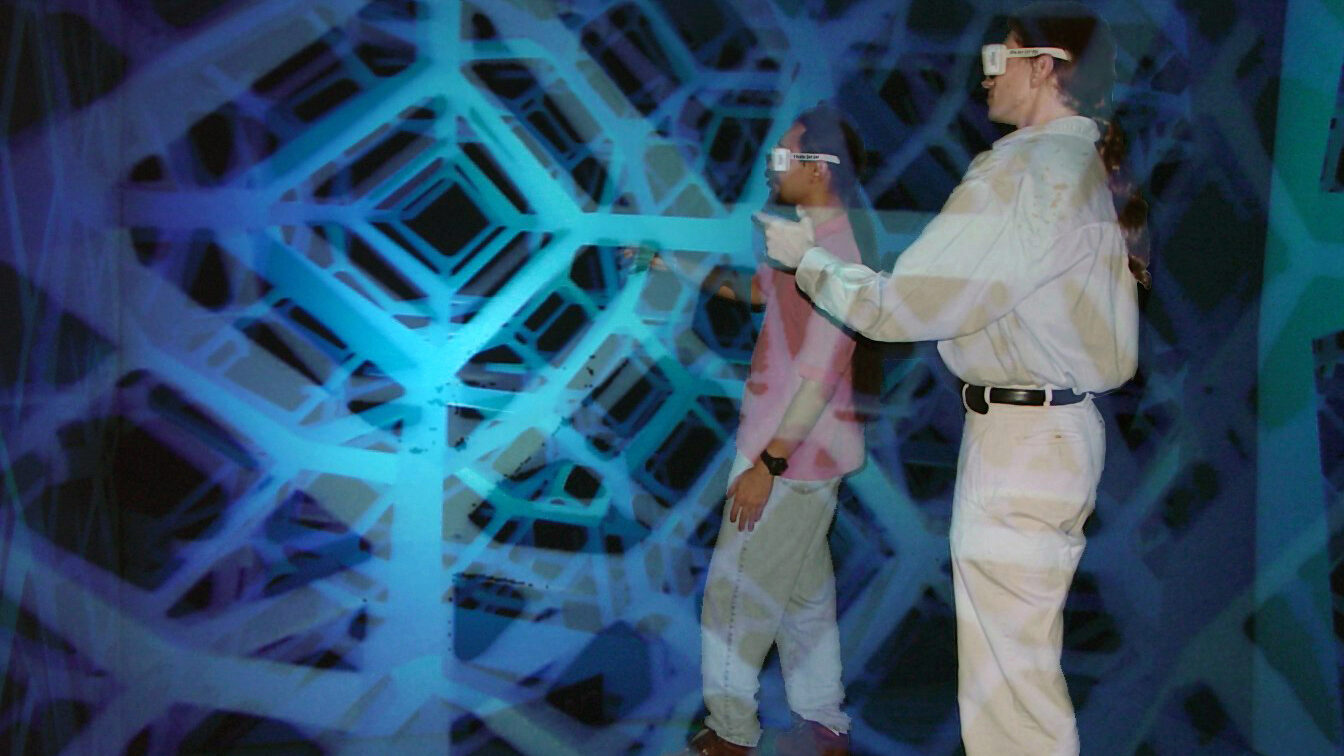 Visualization in Teleimmersive Environments