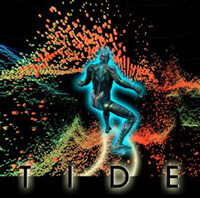 The Tele-Immersive Data Explorer: A Distributed Architecture for Collaborative Interactive Visualization of Large Data-sets