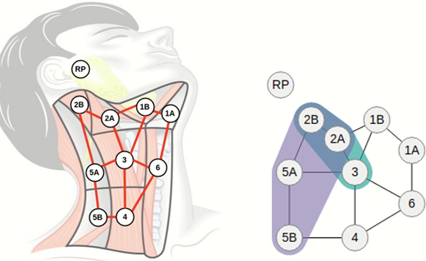 A Spatial Neighborhood Methodology for Computing and Analyzing Lymph Node Carcinoma Similarity in Precision Medicine