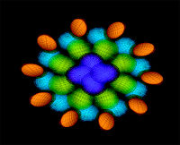 Transitive: Immersive Visualization of Real Time Network Transfers