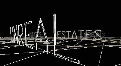 Site Unseen 2009: (dis)abling conditions