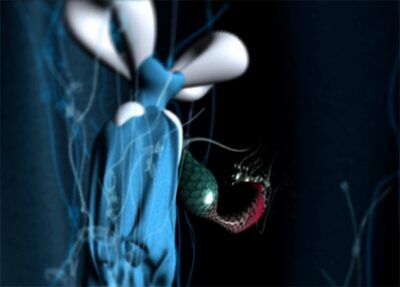 The Female Eye Film Festival