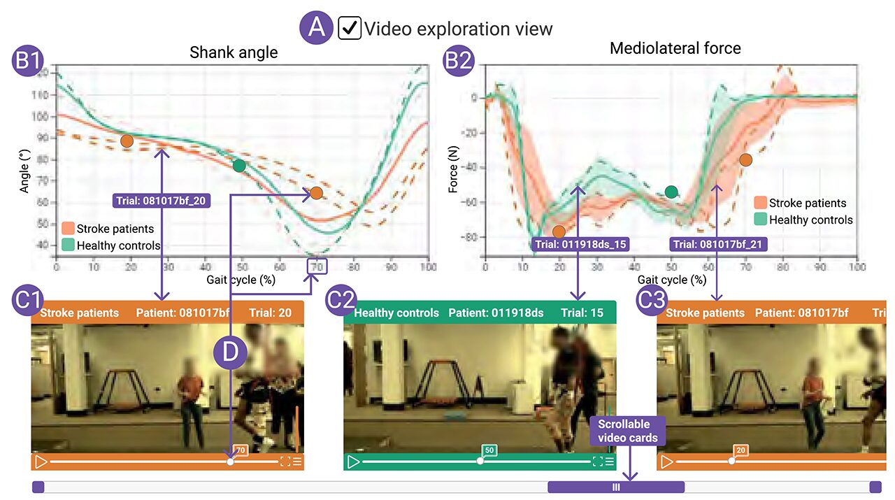 VIGMA: An Open-Access Framework for Visual Gait and Motion Analytics