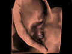 The Virtual Temporal Bone