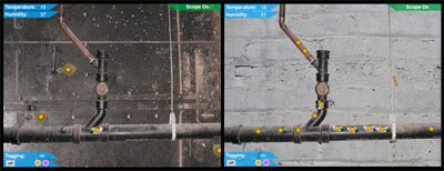 WallCology: Studying Ecology using a Distributed, Persistent Virtual Ecosystem in the Classroom